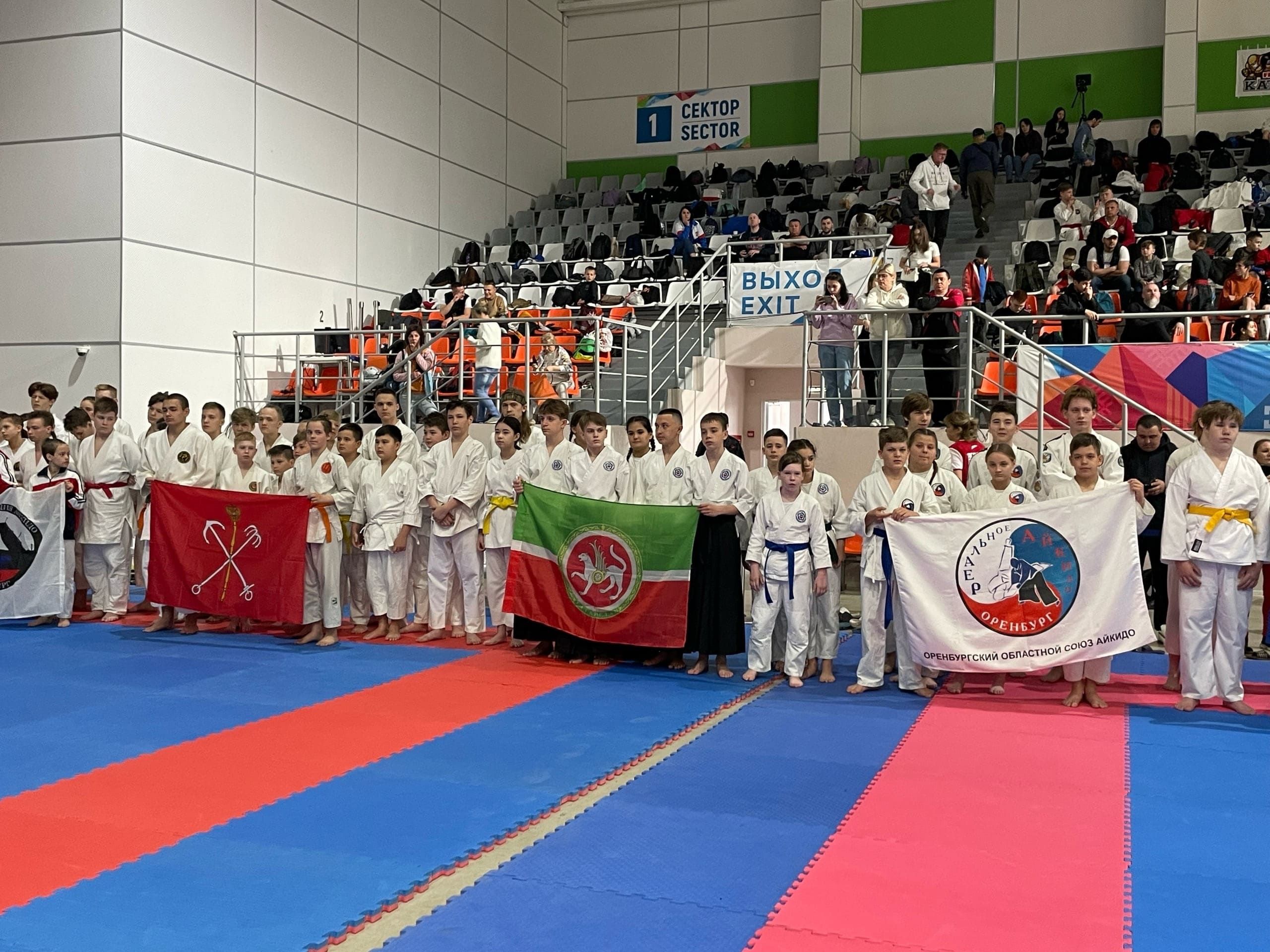 V Евразийские игры боевых искусств