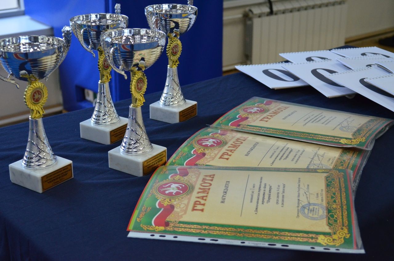 Соревнования "Озорной ветерок"