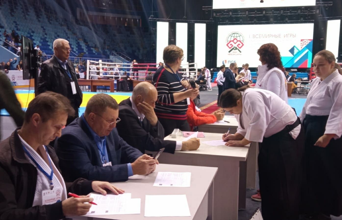 I-е Всемирные игры национальных видов единоборств